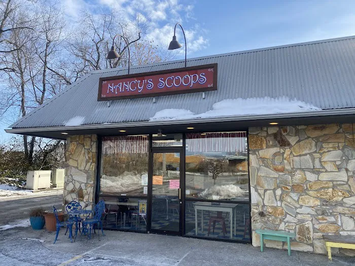 Nancy's Scoops Picture 4
