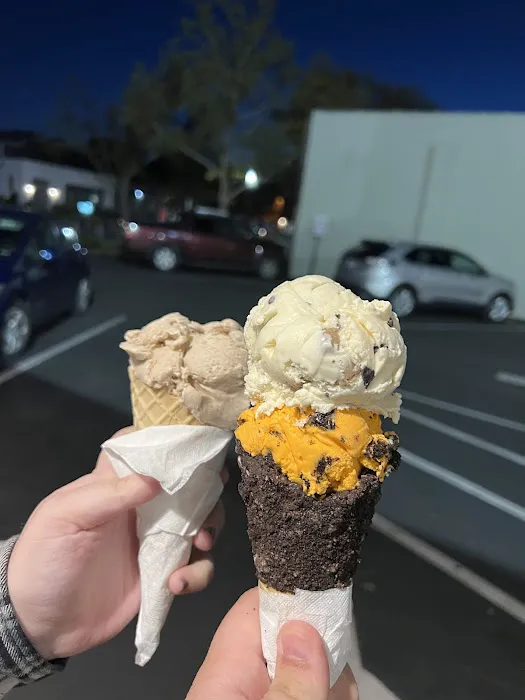Johnson's Real Ice Cream Picture 5