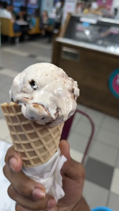 Silver Dipper Ice Cream Picture 2