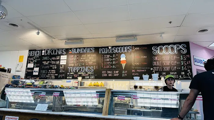 Silver Dipper Ice Cream Picture 10