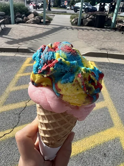 Silver Dipper Ice Cream Picture 8