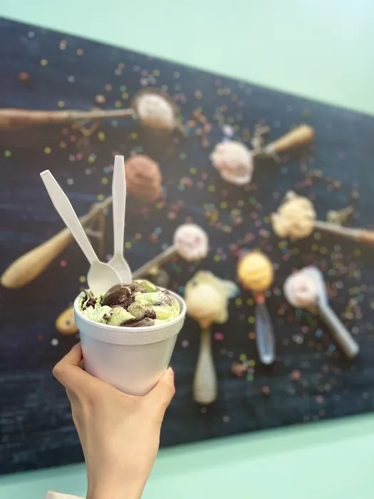 Silver Dipper Ice Cream Picture 7