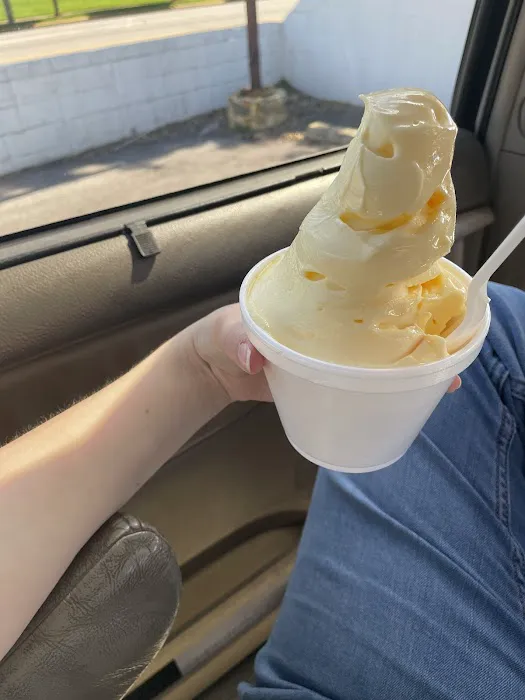 Dole Whip Food Truck Picture 1