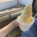 Dole Whip Food Truck