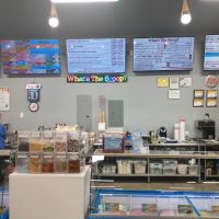 What's The Scoop? ico