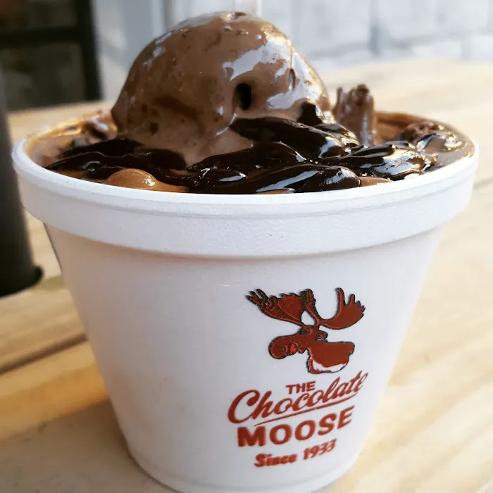 The Chocolate Moose Picture 3