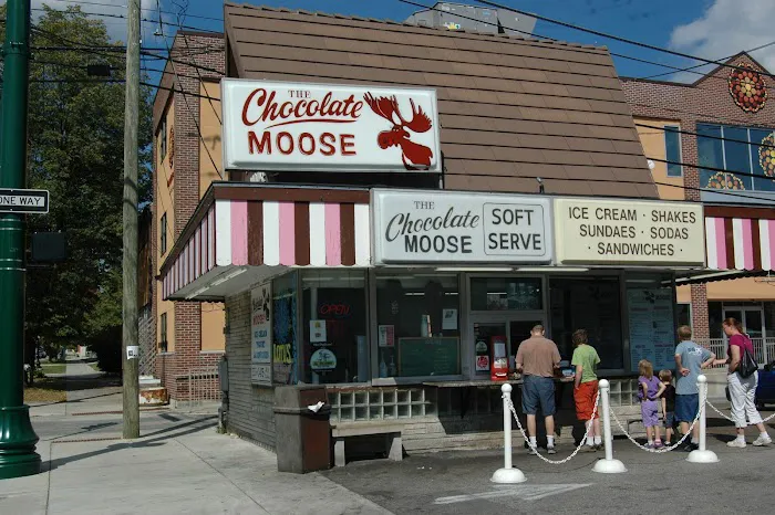 The Chocolate Moose Picture 10