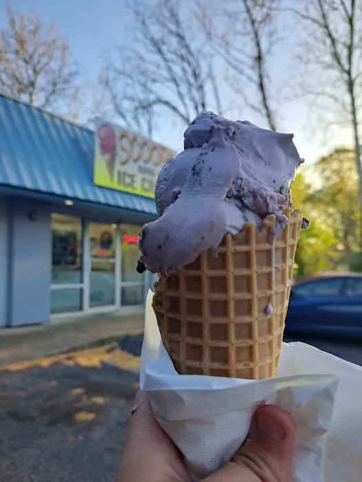 Scoops Ice Cream Picture 2