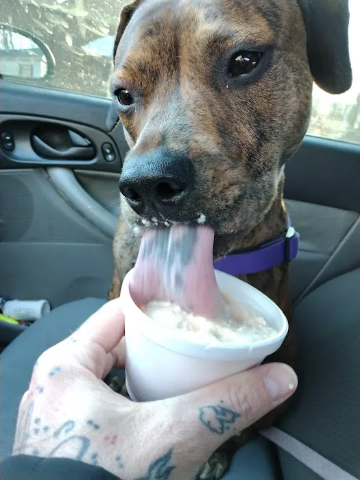 Scoops Ice Cream Picture 4