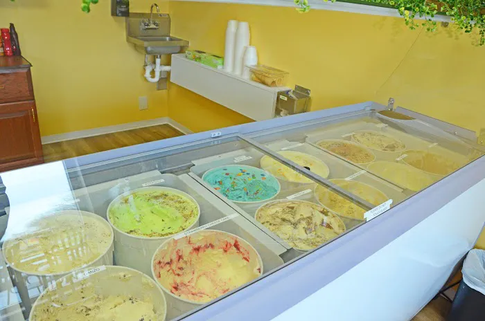 Ale’s Ice Cream Shop Picture 9