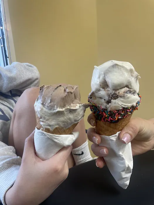 Ale’s Ice Cream Shop Picture 8