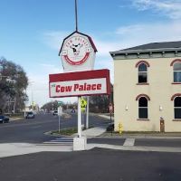Cow Palace ico