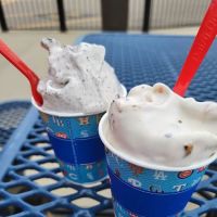 Dairy Queen Store ico