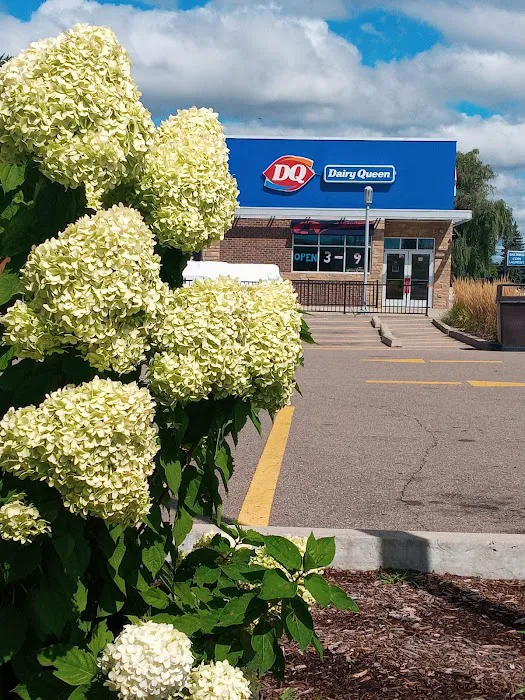 Dairy Queen Store Picture 8