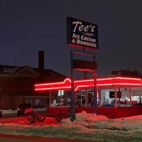 Tee's Ice Cream & Burgers ico
