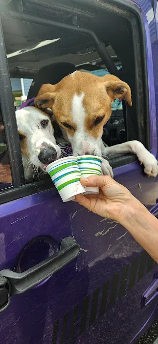Ultimate Ice Cream Picture 4