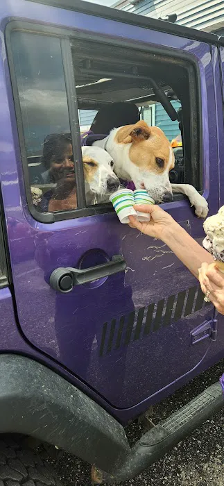 Ultimate Ice Cream Picture 5