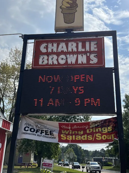 Charlie Brown Creme Cone Picture 3