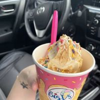 Big V's Ice Cream LLC ico