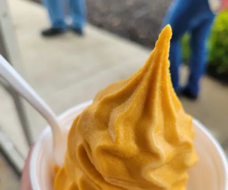 School House Scoops