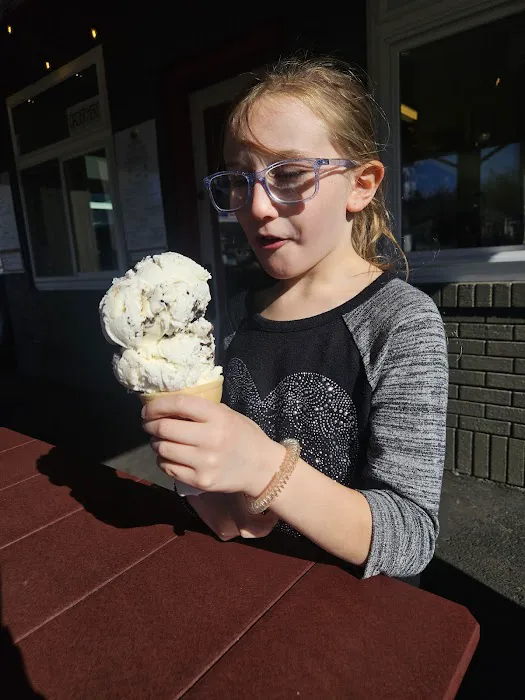 Village Creamery and Grill Picture 7