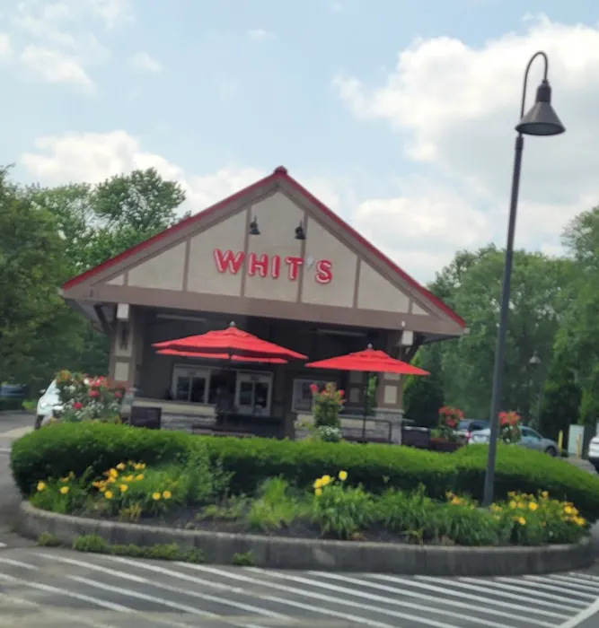 Whit's Frozen Custard Picture 1