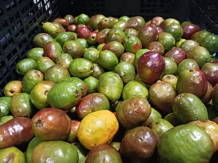 Antojitos de mi tierra LLC Picture 4