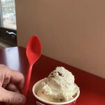 Bruster's Real Ice Cream