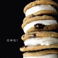 Whits Frozen Custard of Waverly,Ohio ico