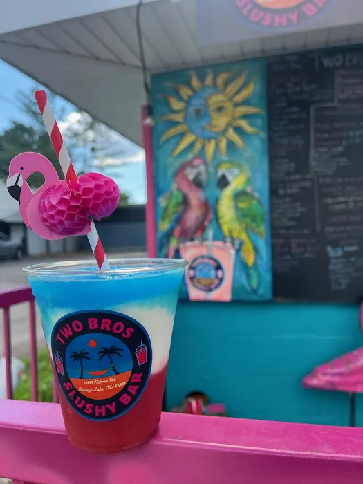 TWO BROS SLUSHY BAR Picture 10