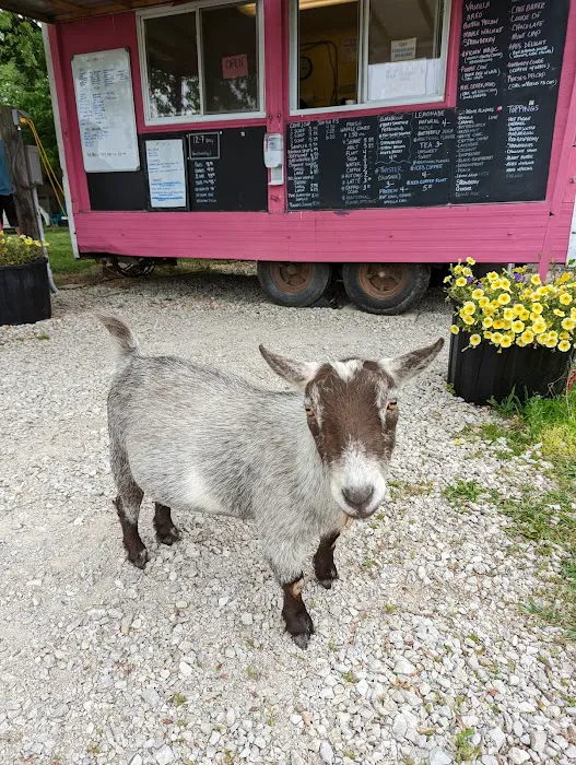 We Li Kit Farmstand Picture 9