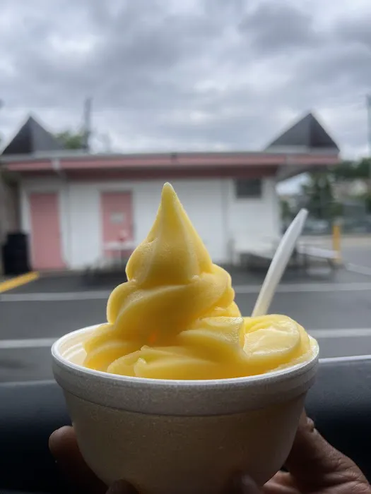 Norwood Delite Creamy Whip Picture 7