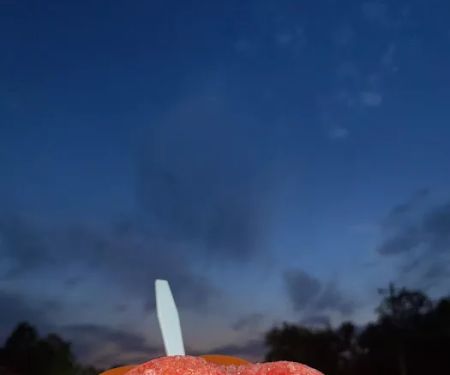 Cinci Ice