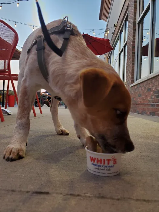 Whit’s Frozen Custard Picture 7
