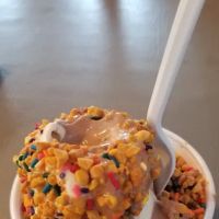 Whippy-Dip ico