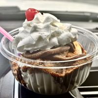 Whetsel Whip ico