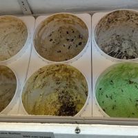 Kilwins Ice Cream - Chocolate - Fudge ico