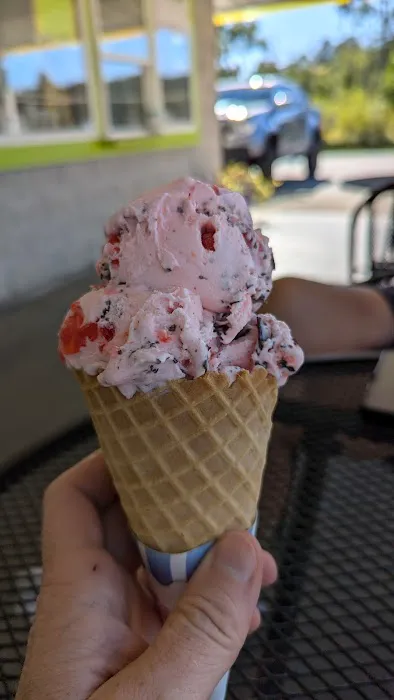 Mudgie's Dairy Delight Picture 5