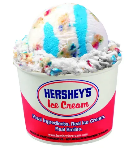 Hershey's Ice Cream Picture 4
