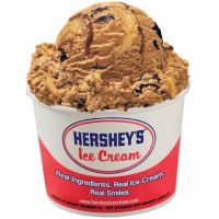 Hershey's Ice Cream ico