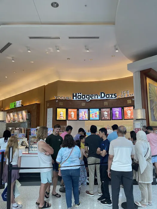 Haagen Dazs Picture 3