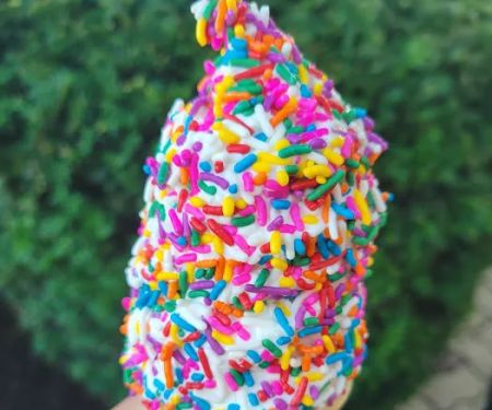 Dairy Treat