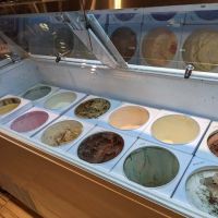 Sanders Chocolate & Ice Cream Shoppe - Rochester ico