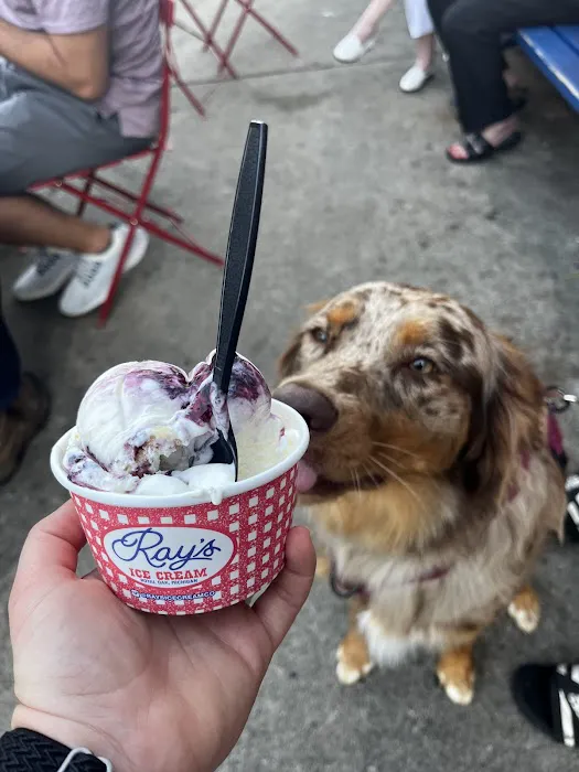 Ray's Ice Cream Picture 9