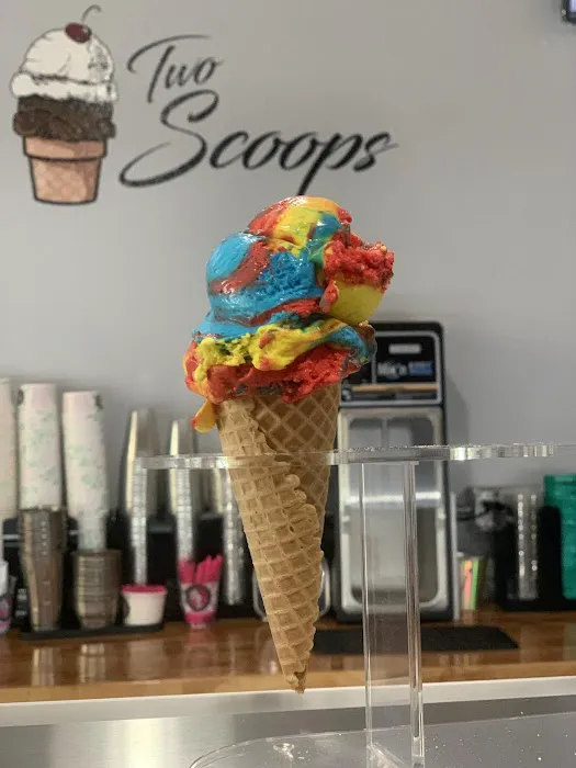 Two Scoops Ice Cream Shop Picture 3
