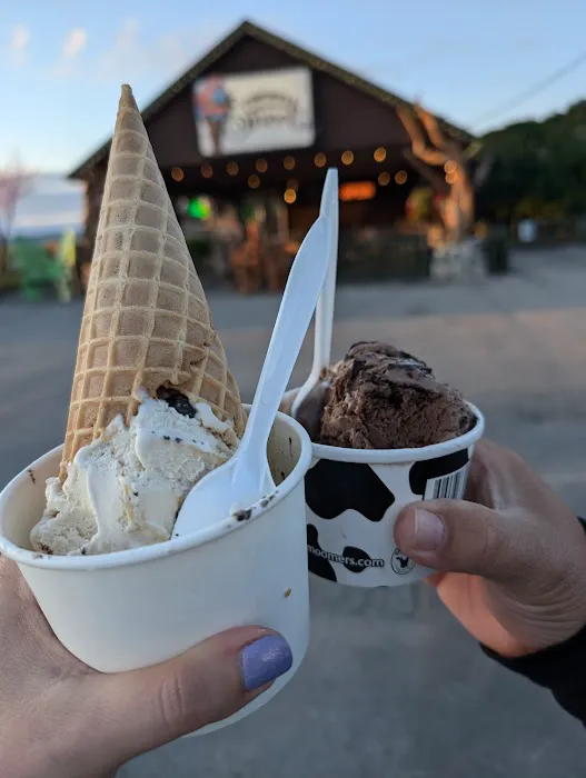 Woodland Sweets & Eats Picture 1