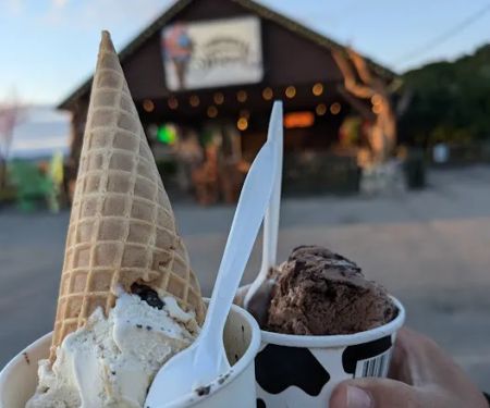 Woodland Sweets & Eats