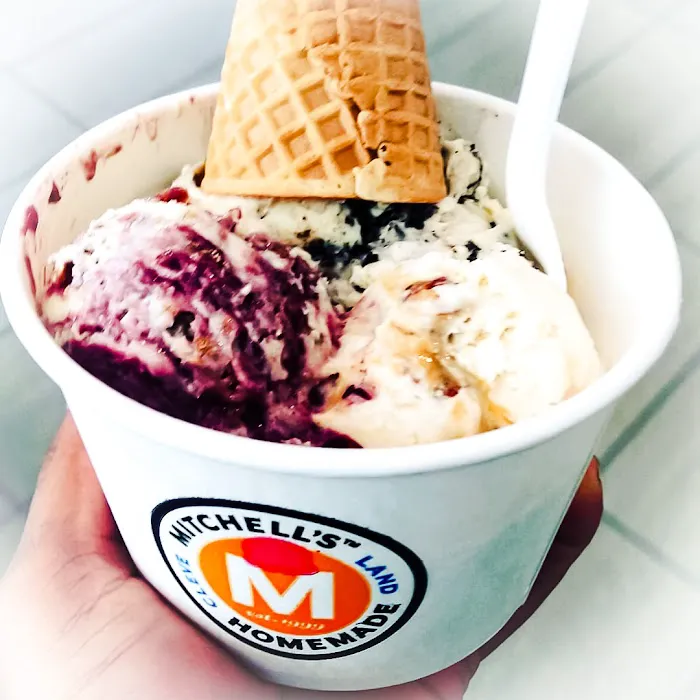 Mitchell's Ice Cream (Avon Shop) Picture 2