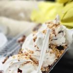 Dari-Land Ice Cream
