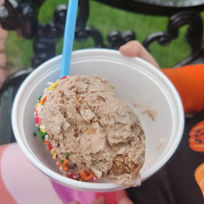 Falls Ice Cream Picture 5